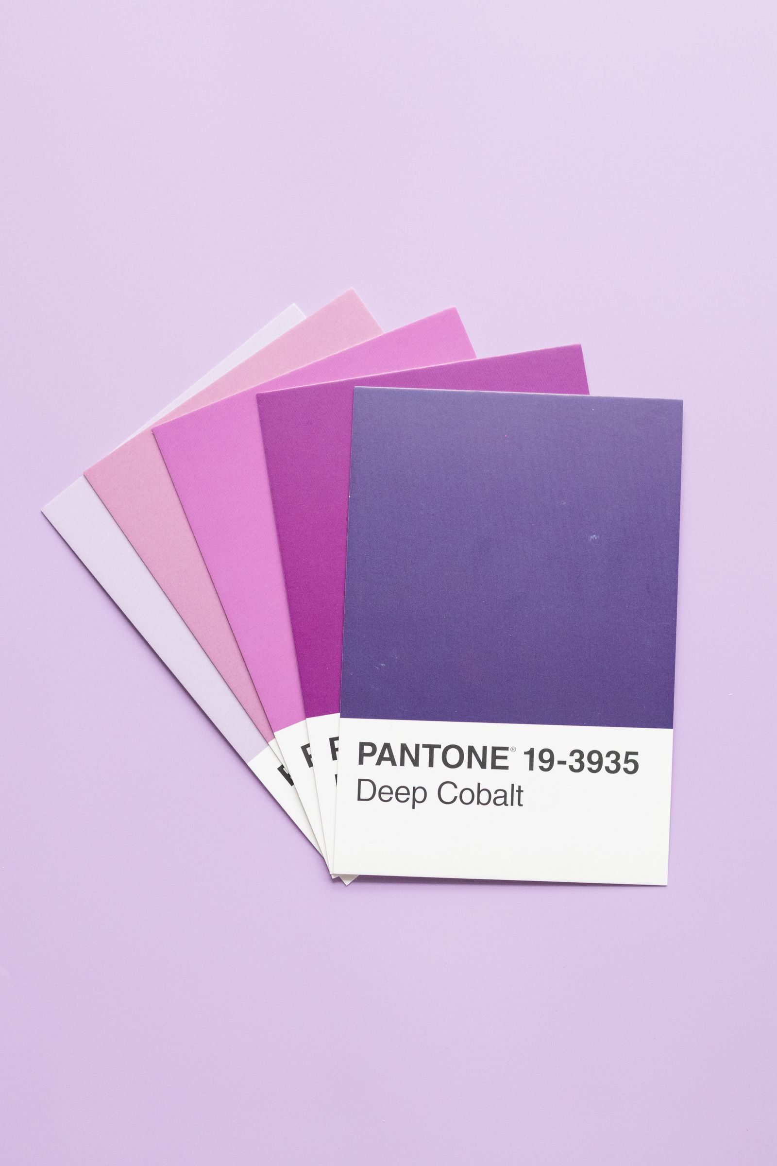 A fan of violet Pantone swatches